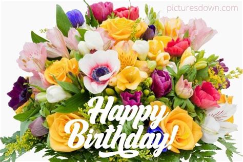 happy birthday bild blumen|400.000+ kostenlose Geburtstag Blumen und。